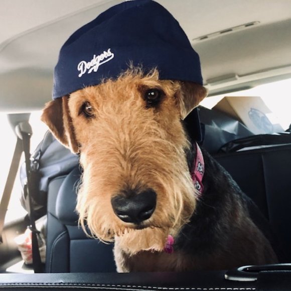 Meet your Posher, Jordan - Picture 5 of 5